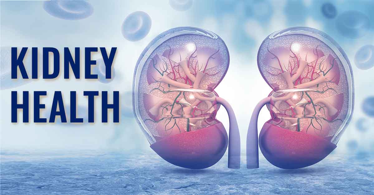 8 Ways To Keep Your Kidneys Healthy - Elitecare Emergency Hospital
