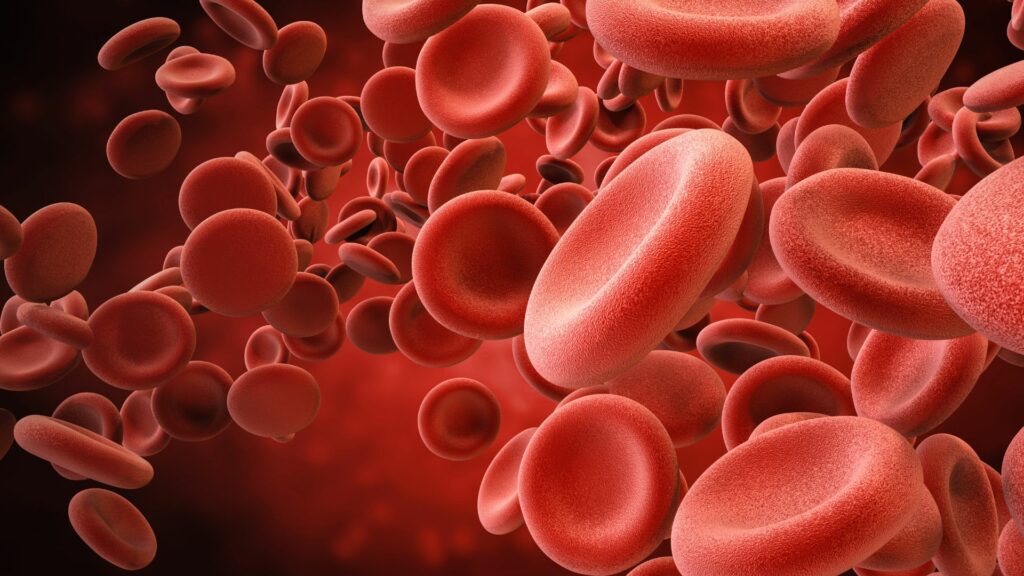 Dangers of Blood Clots - Elitecare Emergency Hospital